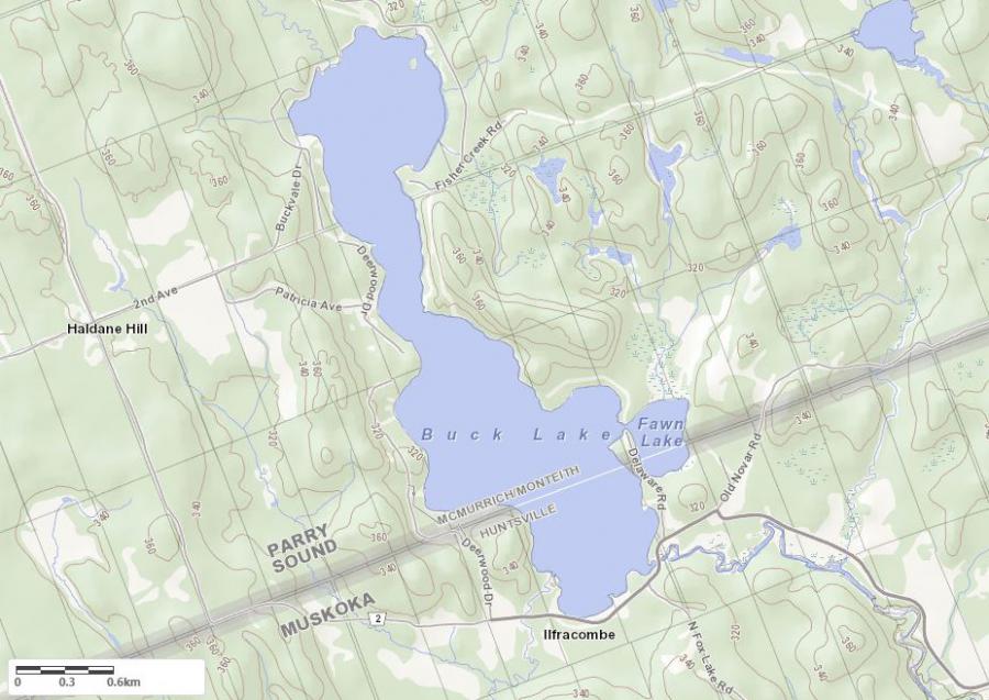Topographical Map of Buck Lake in Municipality of McMurrich and the District of Parry Sound